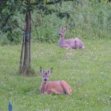 La Casa Di Nonna Bruna *